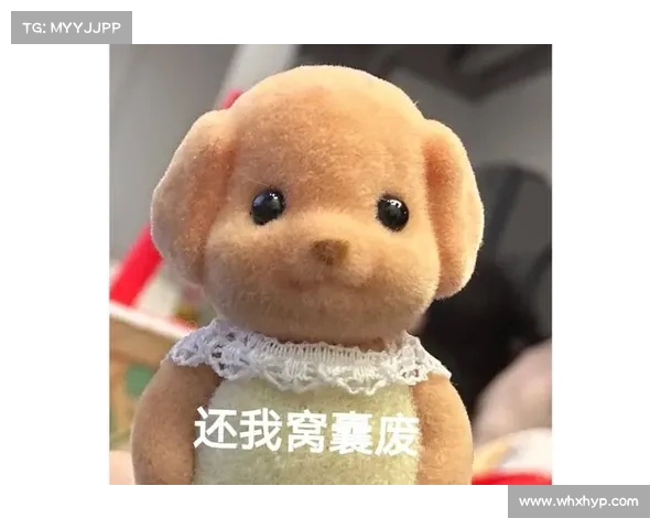 如何制作森贝儿表情包并快速分享给朋友的实用教程